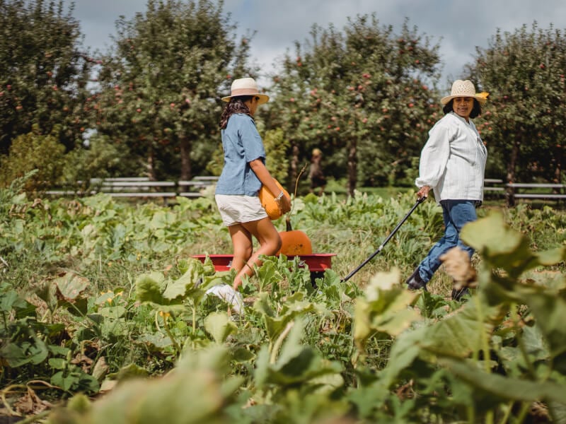 A mother and daughter attend a gardening workshop